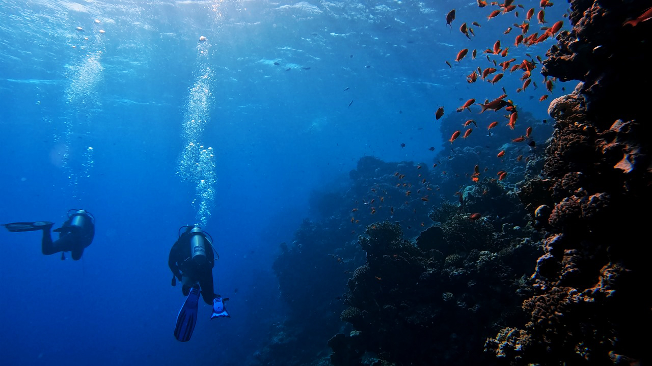 Scuba Diver Course (PADI)